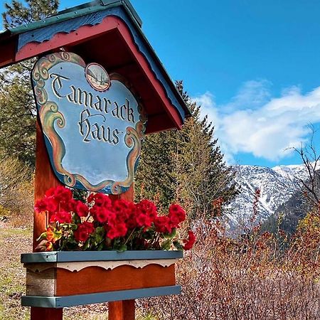 Tamarack Haus Hot Tub And Ev Charging Walk Dtwn! Villa Leavenworth Eksteriør billede